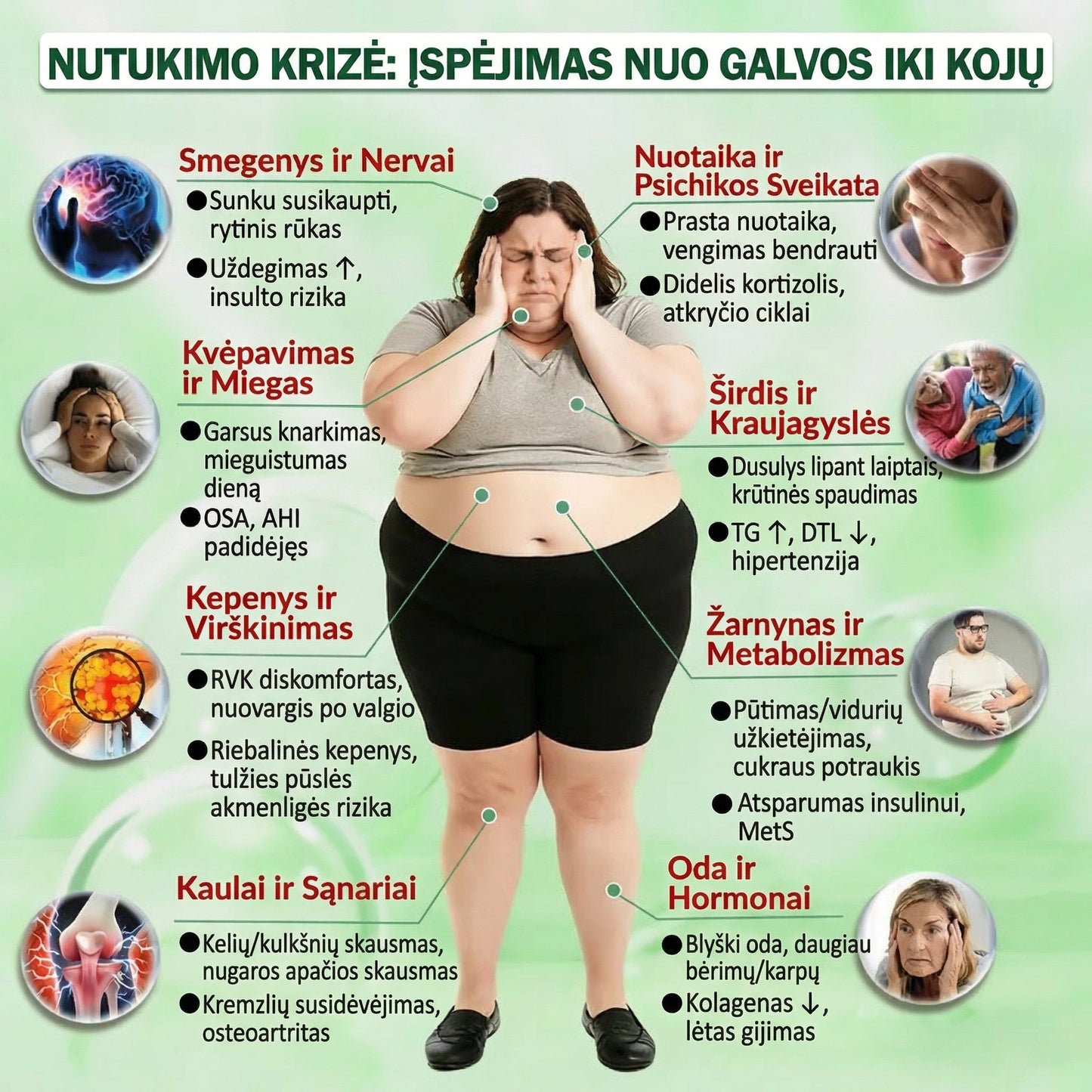 Grynieji pinigai pristatymo metu [70% nuolaida] Florisma® 👩‍⚕️ Moringa + BERBERINAS + NAD+ Liekninantis ir Stangrinantis 10-in-1 Nano Mikroadatinis Pleistras. 🏆